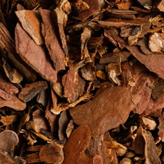 Cascara Sagrada bark, one of the eleven botanicals named on the BellyFlush label