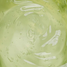 Cape Aloe leaf, one of the eleven botanicals named on the BellyFlush label