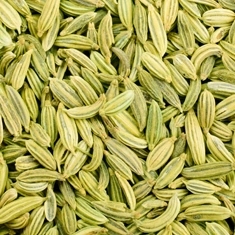 Fennel seed, one of the eleven botanicals named on the BellyFlush label